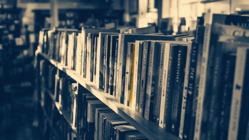 A long shelf of one publisher's titles face-out in a Cape Town bookshop, spines in a spread of colours, afternoon light along the shelf