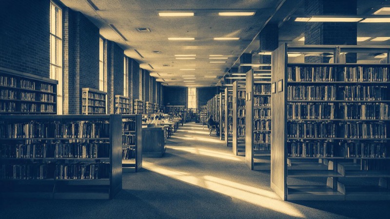 A brick public library in Toronto, a long reading room with tall shelves of novels and sunbeams across the carpet, a few readers as small figures