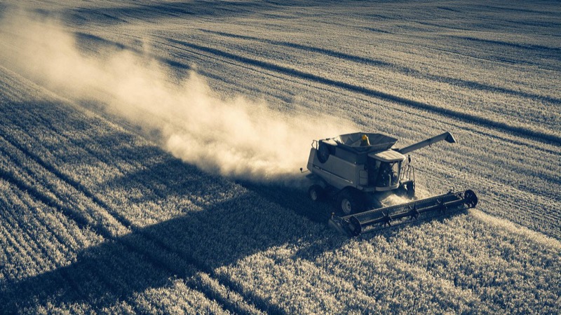Aerial view of a combine harvester cutting golden wheat in a Kansas field in the late afternoon, a long plume of dust trailing behind it