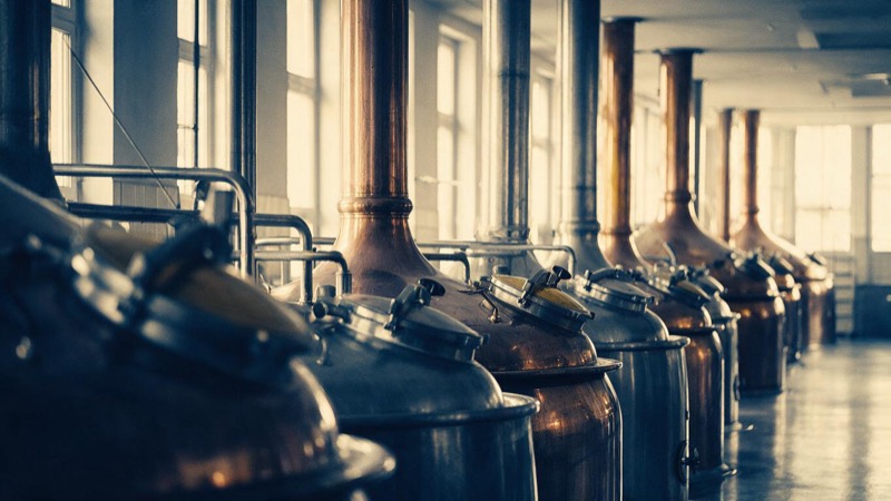 Rows of copper and steel fermentation tanks in a vast brewery hall in Bavaria, tall windows throwing morning light across the polished floor