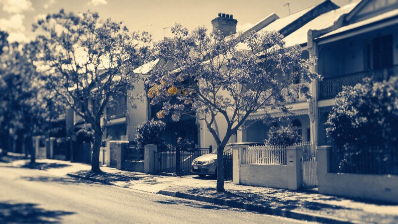 A bright residential street of semi-detached houses in Sydney on a sunny morning, jacaranda trees along the verge and a parked car outside one front gate