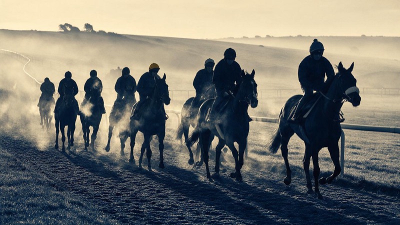 Racehorses and riders cantering to the start across a misty downland gallop at first light, steam rising from their flanks