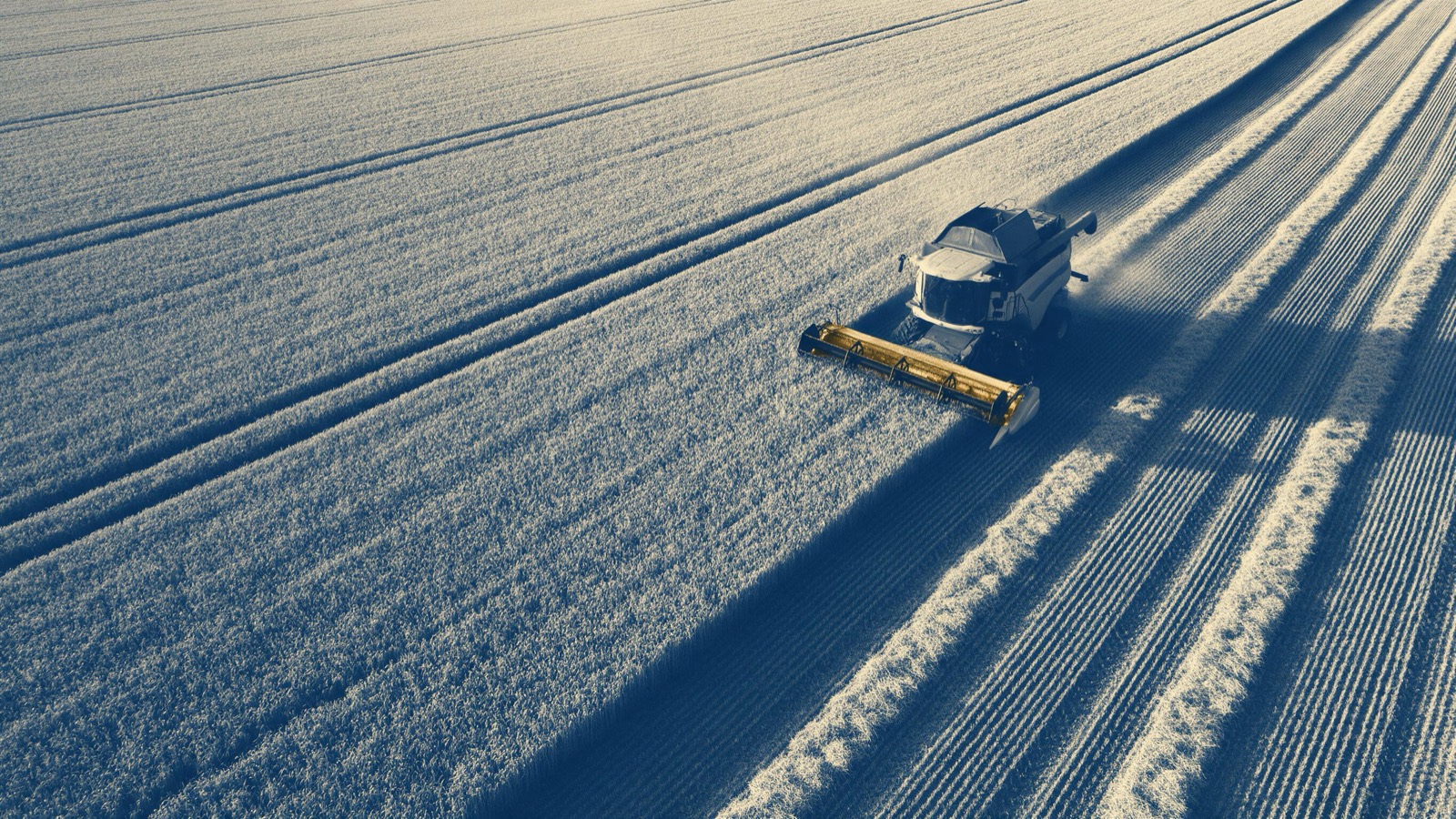 wheat fields from above with tractor lines, a combine harvester at work