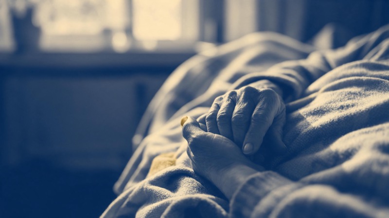 a hand holding an older person's hand on a blanket, soft window light, faces not shown