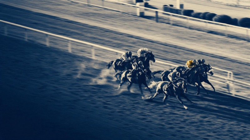 a racecourse seen from the grandstand roof, horses at full gallop, motion blur