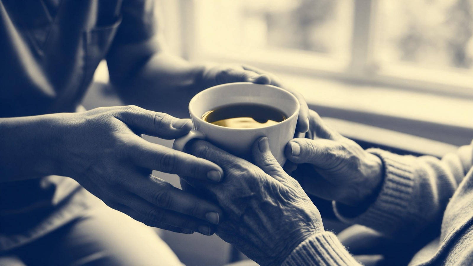 A carer's hands helping an elderly person's hands hold a cup of tea, shot close in soft window light