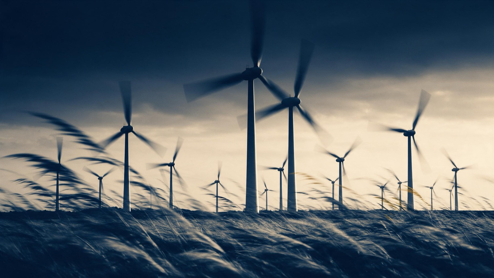 A gale driving across a Danish coastal field of wind turbines at dusk, rotors a blur, flattened grass streaming across the foreground