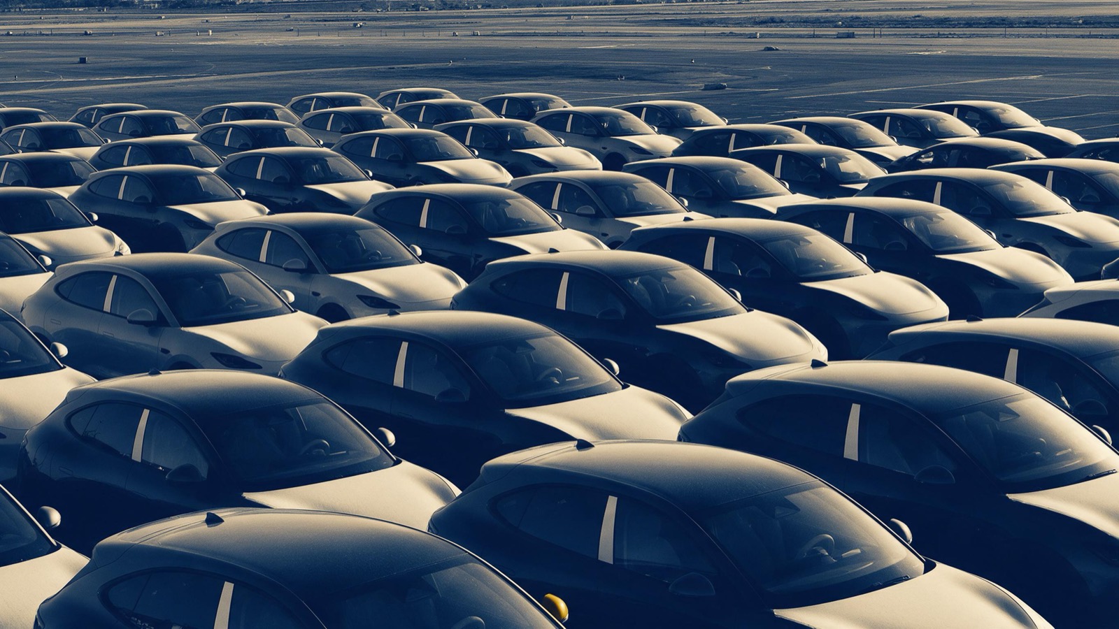 Dozens of identical unbadged new cars parked in tight rows on a vast airfield lot, seen from above in low sun